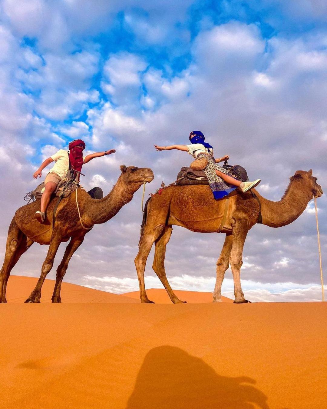 Sahara Luxury Camp